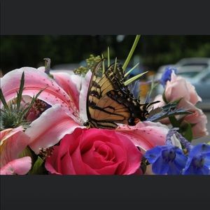 Meet your Posher, Denise